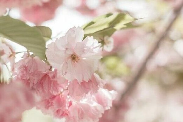 63A499A5-C712-4804-8DC1-69CC3CF15473